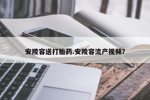 网上米非司酮打胎药官网安陵容送打胎药.安陵容流产视频？