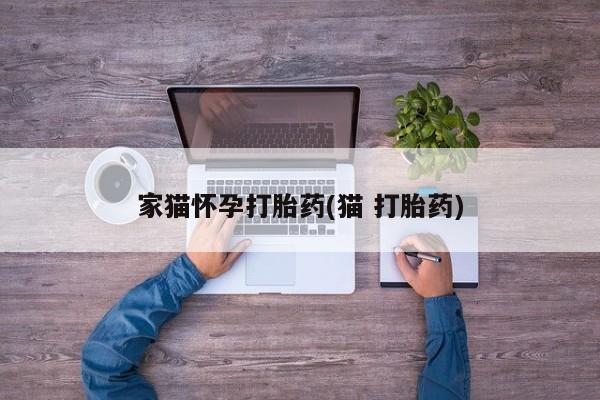 网上米非司酮打胎药官网家猫怀孕打胎药(猫 打胎药)